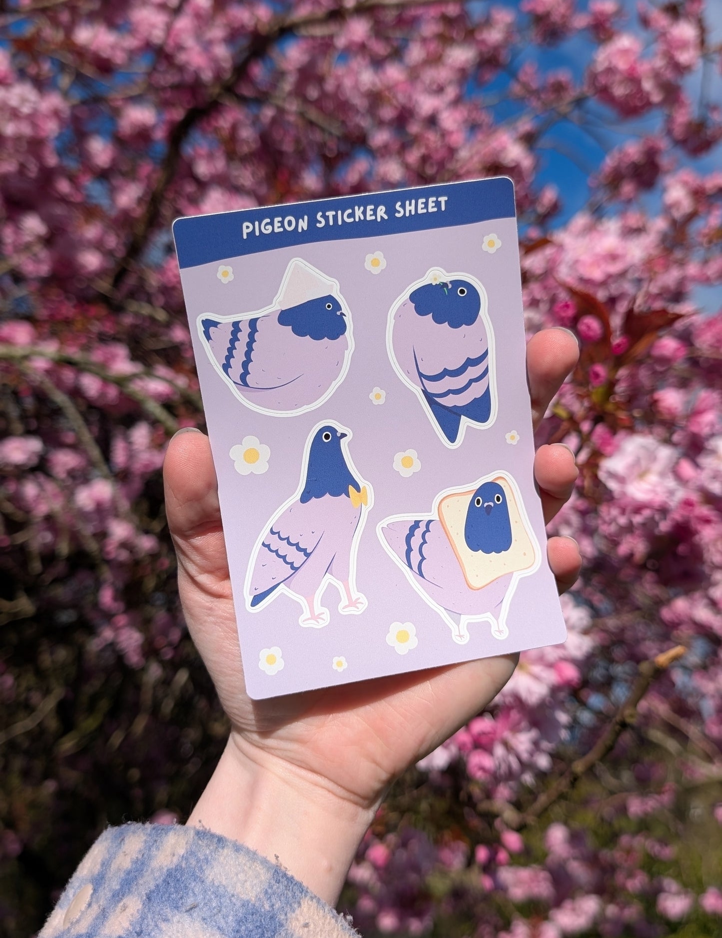 Pigeon Sticker Sheet