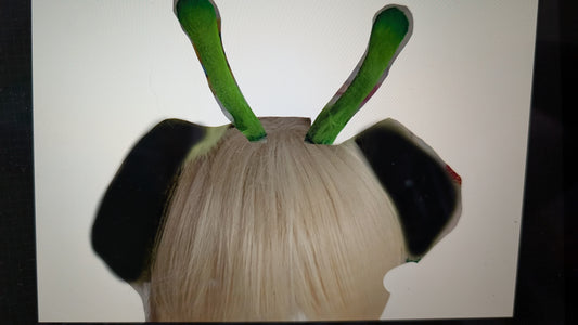 Custom Ears